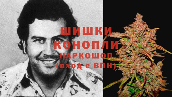 дживик Богородицк