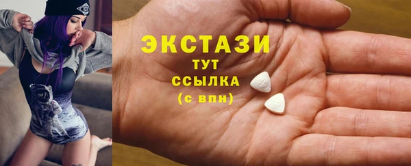 дживик Богородицк