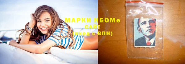 дживик Богородицк