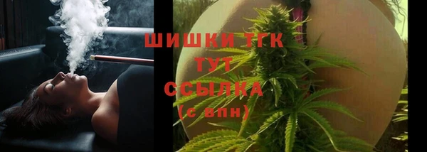 дживик Богородицк