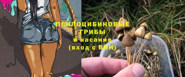 дживик Богородицк