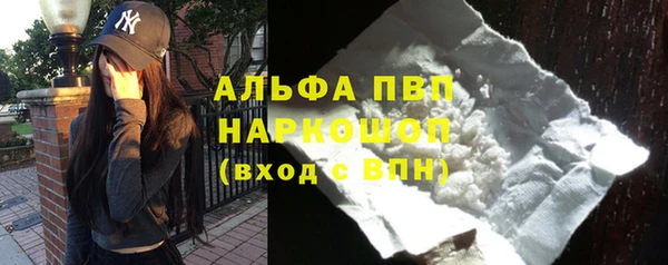 дживик Богородицк