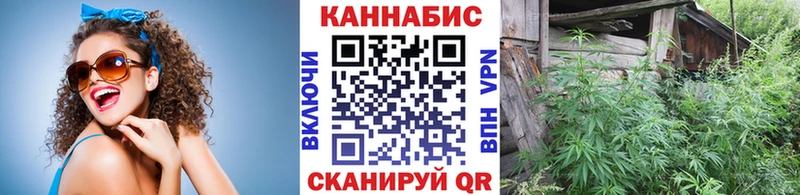МЕГА ТОР  Дмитриев  Канабис OG Kush 
